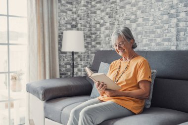 Oturma odasındaki rahat koltukta oturan mutlu, sarışın kadın ilginç kitaplar okuyor. Gülümseyen yaşlı, emekli büyükanne evde yalnız başına en sevdiği romanla hafta sonu tatilinin tadını çıkarıyor..