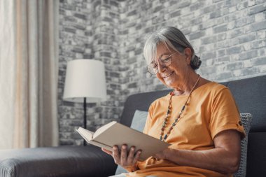 Oturma odasındaki rahat koltukta oturan mutlu, sarışın kadın ilginç kitaplar okuyor. Gülümseyen yaşlı, emekli büyükanne evde yalnız başına en sevdiği romanla hafta sonu tatilinin tadını çıkarıyor..