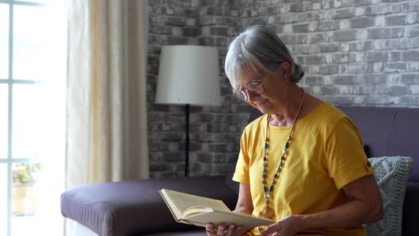 Záběry Starší Ženy Čtení Knihy Gauči Doma — Stock video