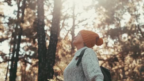 Съемки Пожилой Женщины Свитере Шерстяной Шляпе Отдыхающей Красивом Лесу Осенью — стоковое видео