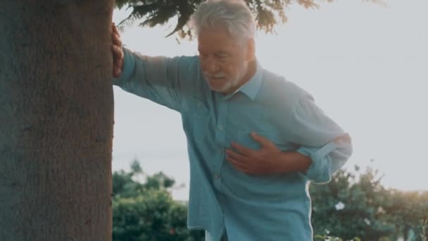 Footage Senior Man Heart Attack Leaning Tree Park — Stock Video