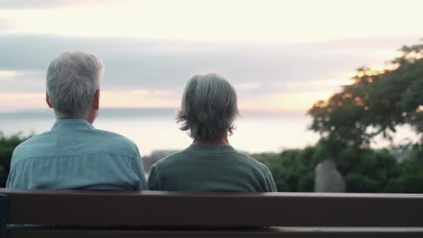 Footage Two Happy Active Seniors Pensioners Having Fun Enjoying Looking — Stock Video