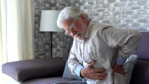 Расстроенный Пожилой Человек Чувствуют Внезапную Боль Спине Мышцы Боли Напряженность — стоковое видео