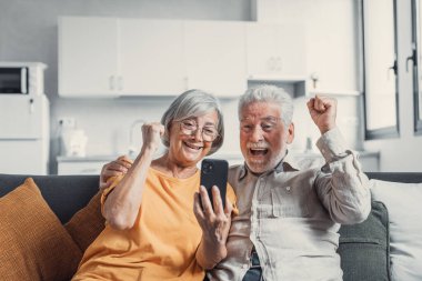 Happy older couple sit on couch staring at cellphone screen gesturing looking overjoyed, scream with joy, read fantastic news, get great commercial offer, pension raise. Success, achievement concept