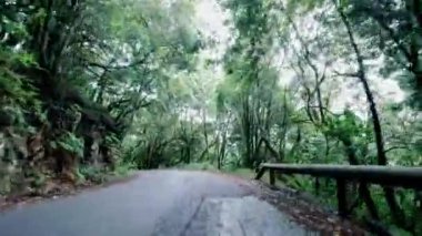 Arabanın tropikal ada yolunda gittiğini gösteren görüntüler.