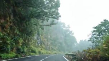 Arabanın tropikal ada yolunda gittiğini gösteren görüntüler.