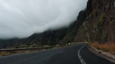 Arabanın tropikal ada yolunda gittiğini gösteren görüntüler.