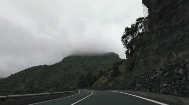 Arabanın tropikal ada yolunda gittiğini gösteren görüntüler.