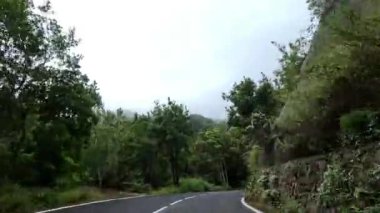 Arabanın tropikal ada yolunda gittiğini gösteren görüntüler.