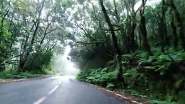 Arabanın tropikal ada yolunda gittiğini gösteren görüntüler.