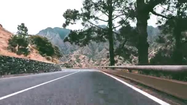 Punto Vista Filmato Guida Auto Attraverso Strada Tropicale Dell Isola — Video Stock
