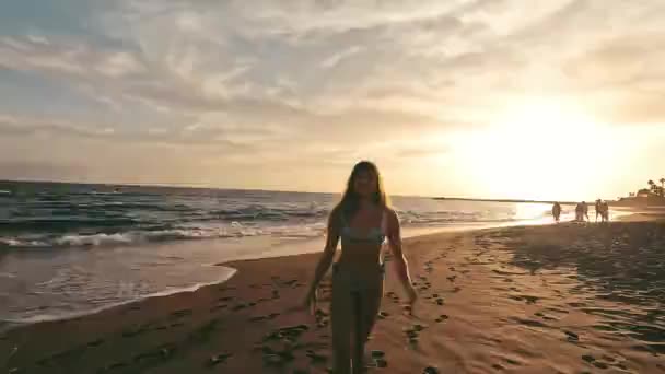 Bilder Vackra Unga Kvinna Promenader Natursköna Solnedgången Stranden — Stockvideo