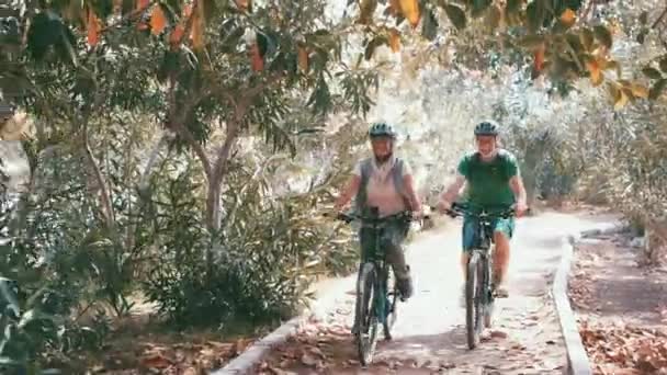 Material Archivo Hermosa Pareja Ancianos Románticos Montar Bicicletas Parque — Vídeos de Stock