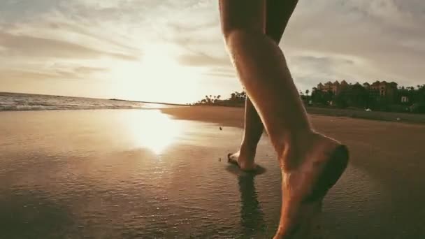 Rajattu Kuvamateriaalia Naisen Luonnonkauniilla Merenrannalla Auringonlaskun — kuvapankkivideo