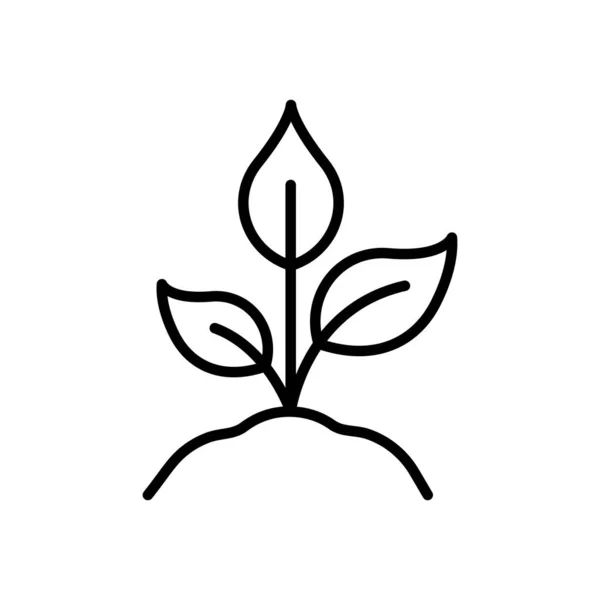 土壌ラインアイコン上の有機成長葉 ナチュラル シード 農業シンボル エコフレンドリーなファームサイン 生態園の植物の発芽概要アイコン 編集可能なストローク 絶縁ベクトルイラスト — ストックベクタ