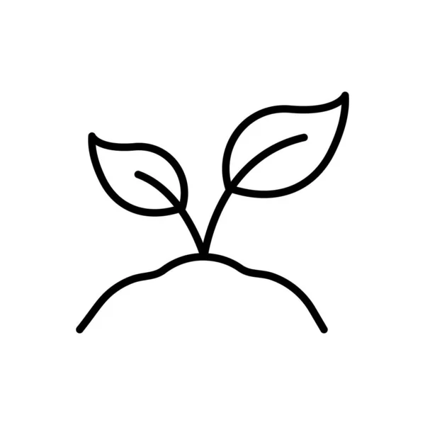 Οργανικό Φύλλο Ανάπτυξης Εικόνα Γραμμής Εδάφους Eco Φυσικός Σπόρος Σύμβολο — Διανυσματικό Αρχείο