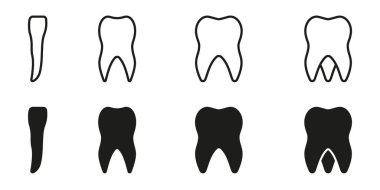 İnsan Diş Hattının Türleri ve Siluet Simgesi Seti. Yetişkin Diş Anatomisi. Incisor, Canine, Premolar, Molar Dişli Piktogram. Diş tedavisi işareti var. Dişçi Sembolü. İzole Vektör İllüstrasyonu.