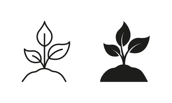 Eco Friendly Συλλογή Συμβόλων Αγρόκτημα Φυτρώνουν Από Φυτό Στο Οικολογικό — Διανυσματικό Αρχείο