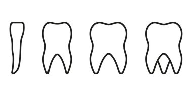İnsan Diş Hattı Simgesi Türleri. Diş Anatomisi Çizgisel Piktogram. Incisor, köpek, azı dişi, azı dişi. Diş Hekimliği Sembolü. Diş tedavisi işareti var. Düzenlenebilir Vuruş. İzole Vektör İllüstrasyonu.