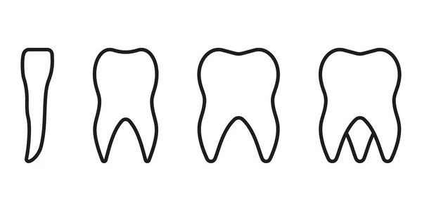 人类牙齿线图标的类型 牙齿解剖线形象形图 采购产品Incisor Canine Premolar Molar Teeth 牙科学概略符号 牙科治疗标志 可编辑的中风 — 图库矢量图片