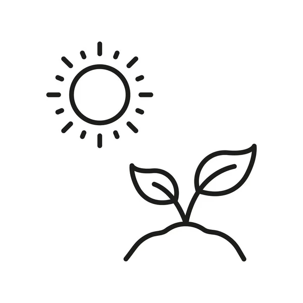 阳光与植物 树生长线图标 有机叶 环境农业线形象形图 生态友好植物的轮廓符号 园艺标志 可编辑的中风 孤立的病媒图解 — 图库矢量图片