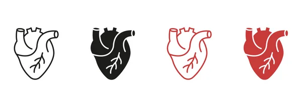 人的心脏 心脏肌肉线和轮廓彩色图标集 医学心脏科象形文字 白色背景下的健康心血管器官符号收集 孤立的病媒图解 — 图库矢量图片