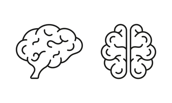 Human Brain Line Icon Set Vorhanden Wissen Gedächtnis Verstand Logische — Stockvektor