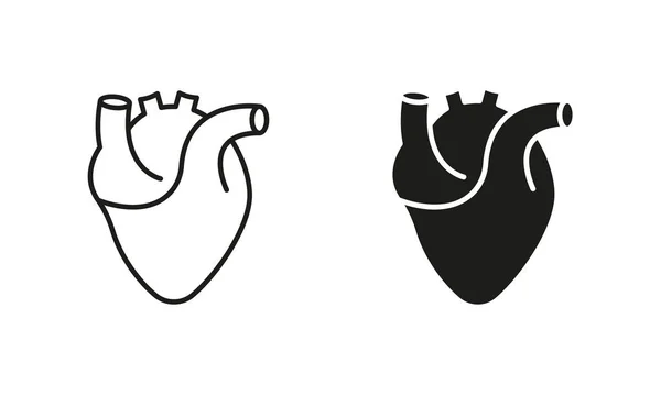 Medical Cardiology Pictogram Healthy Cardiovascular Organ Symbol Collection White Background — Stock Vector