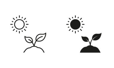 Güneş ve Bitki, Ağaç Yetiştirme Hattı ve Siluet Simgesi Set. Tarım Pictogramı. Çevre dostu bitki sembolü. Bahçe İşareti. Düzenlenebilir Vuruş. İzole Vektör İllüstrasyonu.