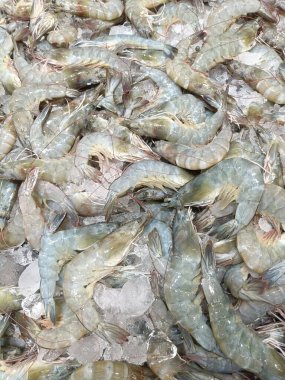 Pişmeden önce taze karides için Pasifik beyaz karidesi