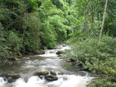 Kanchanaburi 'de şelale üstüne nehir.