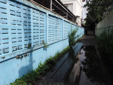 Su birikintisine dar bir ara sokak yansıyor. Aşırı gelişmiş bitkilerle dolu canlı mavi tuğla çitleri gösteriyor. Gizli kentsel yaşamı çağrıştırıyor.