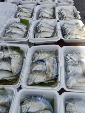 Beyaz köpük kaplarda plastik ambalajlarla paketlenmiş taze balık, muhtemelen pazarda veya deniz ürünleri tezgahında satılmaya veya dağıtıma hazır.