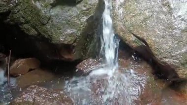 Küçük şelale yosunlu kayalar ve kayalar arasındaki şelale, ıslak taşlar ve yumuşak hareketlerle sığ bir akıntıya dönüşüyor. Doku ve akışla dolu sakin doğal bir sahne yaratıyor. Huzurlu ve topraksı, şelale gibi.