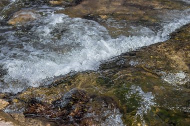 Hızlı akan dağ deresi. Damlalar, damlalar ve temiz su köpükleri. Güzel manzara, su koruma konsepti, yakın çekim, hızlı deklanşör hızı.