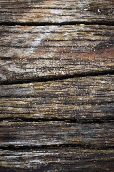 Zbliżenie Stare Zużyte Robaki Drewniane Deska Nadaje Się Tła Tekstury — Zdjęcie stockowe