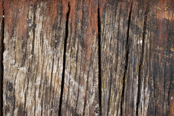 Close Old Worn Wormy Wooden Plank Suitable Background Texture Overlay — Stock Photo, Image