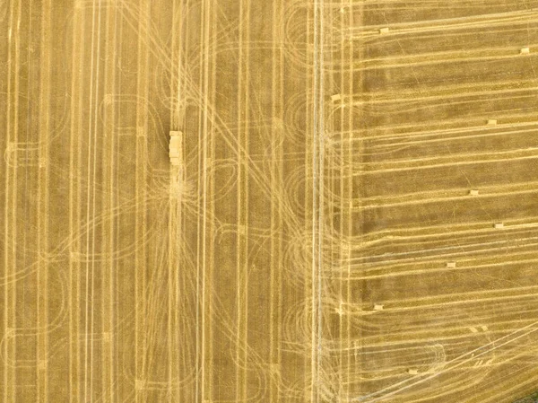 Повітряний Вид Стигле Пшеничне Поле Під Час Збору Врожаю Сфотографоване — стокове фото
