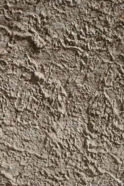 Eski bir duvarı kapatın. Bu duvar doku ya da arkaplan olarak kullanılabilir.