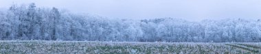 Kışın donmuş beyaz ağaçlarla kırsal bölgeleri gösteren panoramik bir görüntü. Soğuk ve sisli.