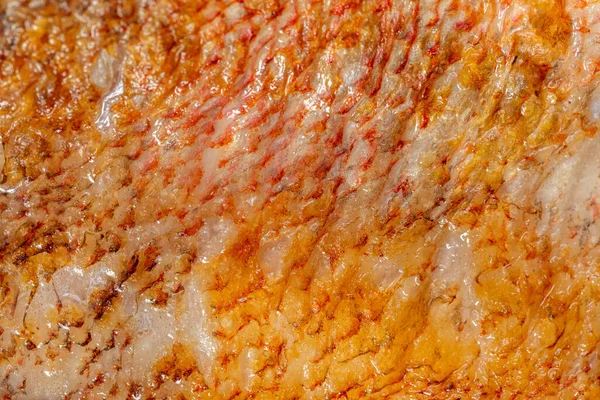 Grillowany Filet Okonia Morskiego Zielonymi Czerwonymi Pomidorami Sosem Pesto Żywność — Zdjęcie stockowe