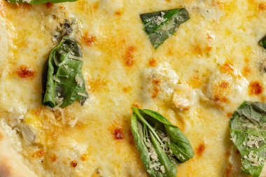 Dört çeşit peynirli ekşi pizza ve üstüne rendelenmiş parmesan peyniri ve fesleğen yaprağı. Pizza gri bir arka planda yatıyor..