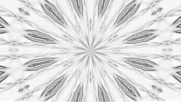 Monochrome Kaleidoscopic Pattern Animate Resolution Backdrop — 비디오