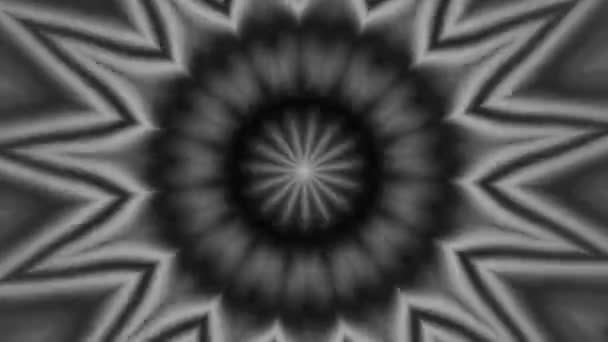 Monochrome Kaleidoscopic Animation Background Resolution Backdrop — Stockvideo