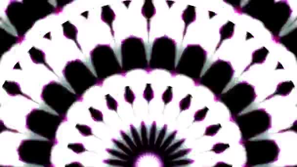 Symmetry Glow Kaleidoscopic Animation Background Resolution Backdrop — Stockvideo