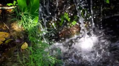 Yavaş çekim doğada parlayan su akışı