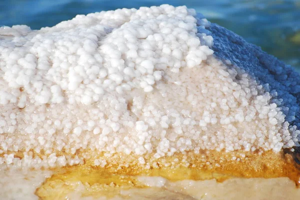 Ölü Deniz 'de bir taşın üzerinde kurumuş beyaz tuz kristallerinin yakın çekim görüntüsü.