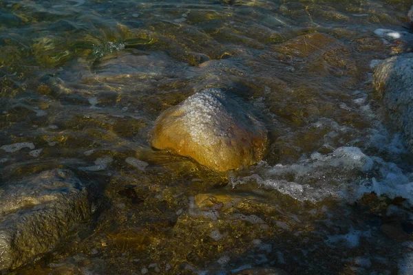 Üstünde kuru tuz olan ölü deniz taşı.
