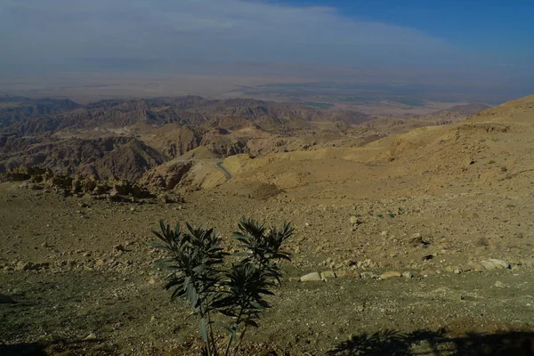 ヨルダンの山に緑の茂みがある砂漠の眺め — ストック写真
