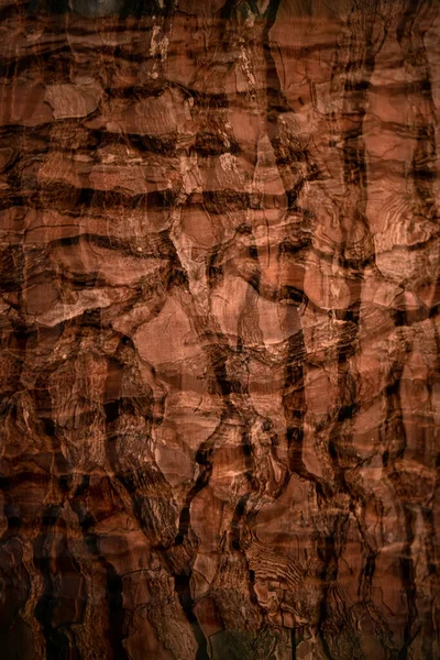 原始纹理 木质背景 — 图库照片